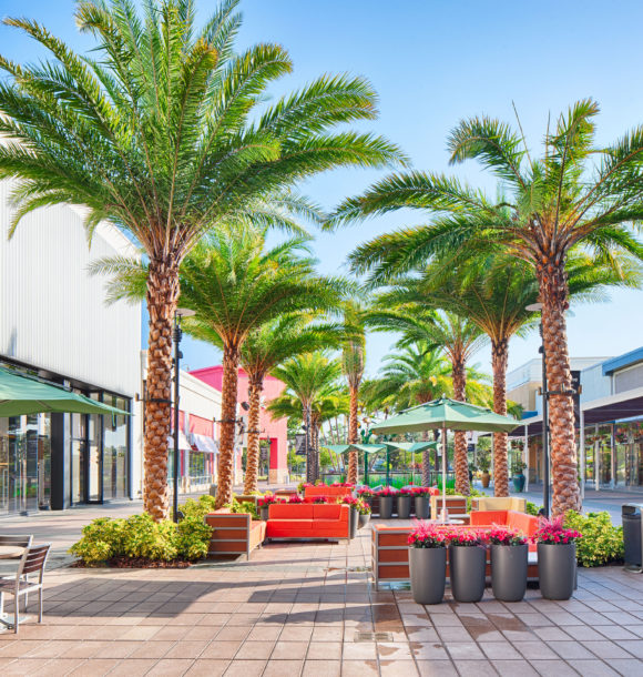 Florida Mall Dining Pavilion | Commercial Architects & Engineers | Cuhaci Peterson 30
